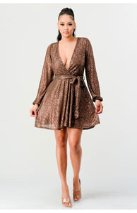 Ms. Cocoa Glitter Dress